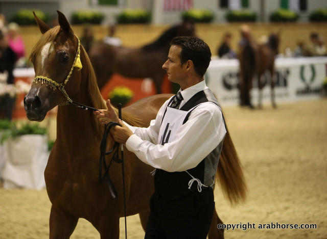 2011 All Nations Cup - Aachen, Germany 