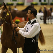 2011 All Nations Cup - Aachen, Germany 