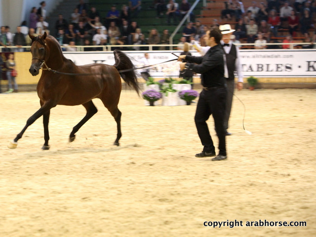 2011 All Nations Cup - Aachen, Germany 