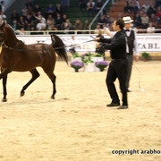 2011 All Nations Cup - Aachen, Germany 