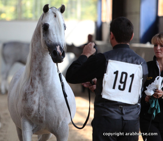 2011 All Nations Cup - Aachen, Germany 