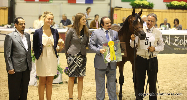 2011 All Nations Cup - Aachen, Germany 