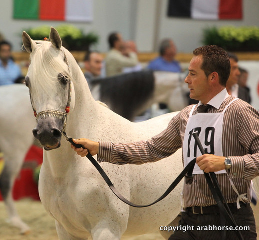 2011 All Nations Cup - Aachen, Germany 