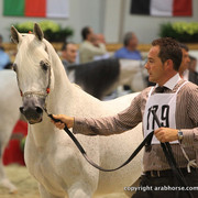 2011 All Nations Cup - Aachen, Germany 