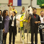 2011 All Nations Cup - Aachen, Germany 