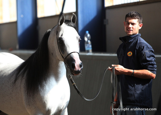 2011 All Nations Cup - Aachen, Germany 