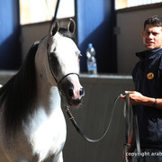 2011 All Nations Cup - Aachen, Germany 