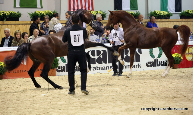 2011 All Nations Cup - Aachen, Germany 