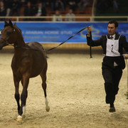 2011 All Nations Cup - Aachen, Germany 