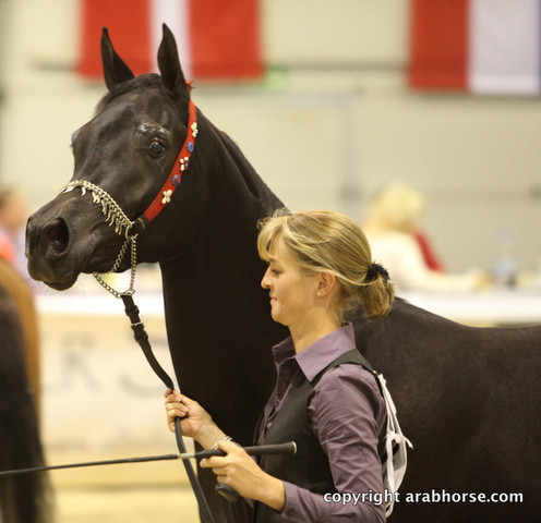 2011 All Nations Cup - Aachen, Germany 