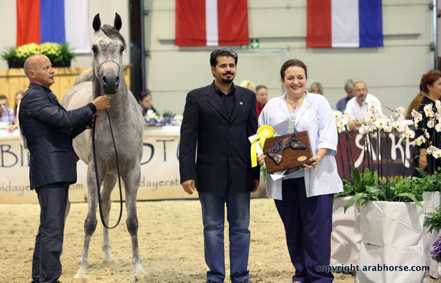 2011 All Nations Cup - Aachen, Germany 