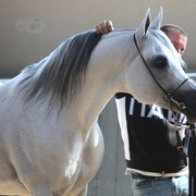 2011 All Nations Cup - Aachen, Germany 