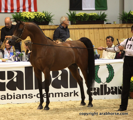 2011 All Nations Cup - Aachen, Germany 