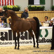 2011 All Nations Cup - Aachen, Germany 