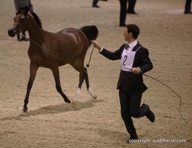 2011 All Nations Cup - Aachen, Germany 