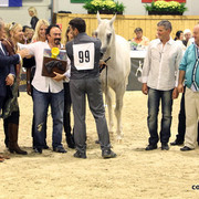2011 All Nations Cup - Aachen, Germany 