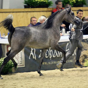 2011 All Nations Cup - Aachen, Germany 