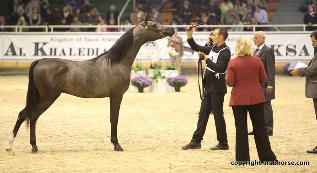 2011 All Nations Cup - Aachen, Germany 