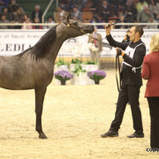 2011 All Nations Cup - Aachen, Germany 