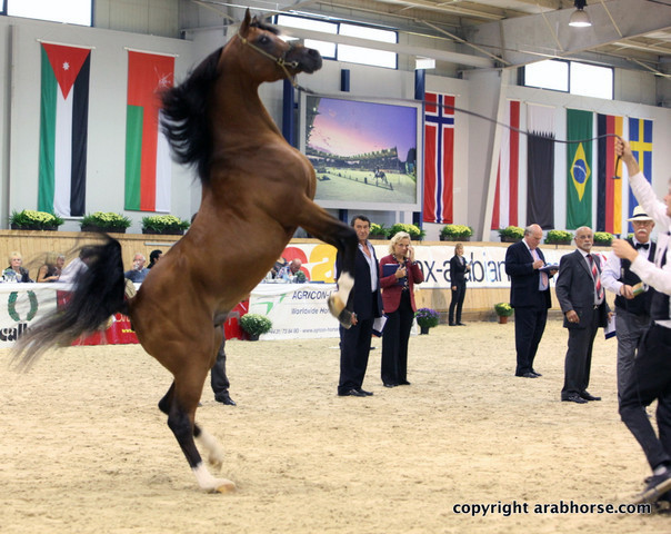 2011 All Nations Cup - Aachen, Germany 