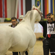 2011 All Nations Cup - Aachen, Germany 