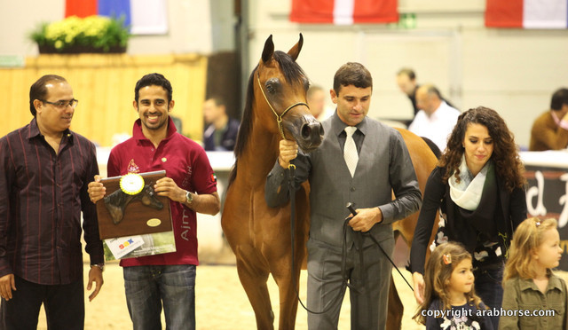 2011 All Nations Cup - Aachen, Germany 