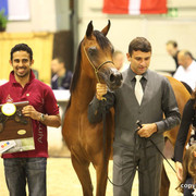 2011 All Nations Cup - Aachen, Germany 