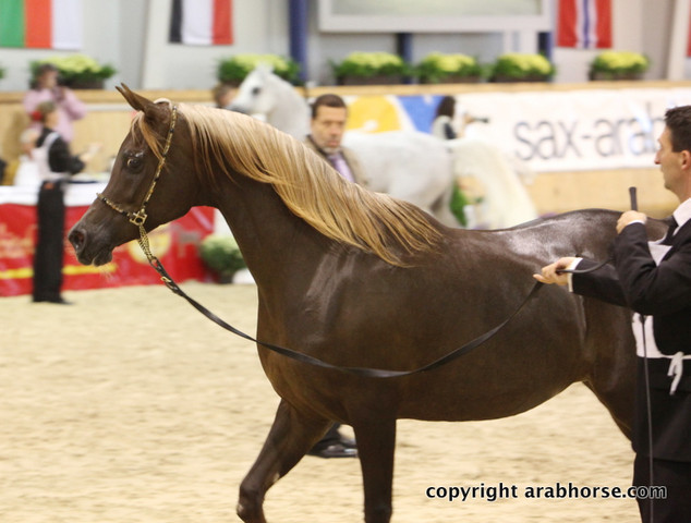 2011 All Nations Cup - Aachen, Germany 
