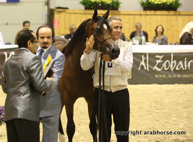 2011 All Nations Cup - Aachen, Germany 