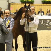 2011 All Nations Cup - Aachen, Germany 