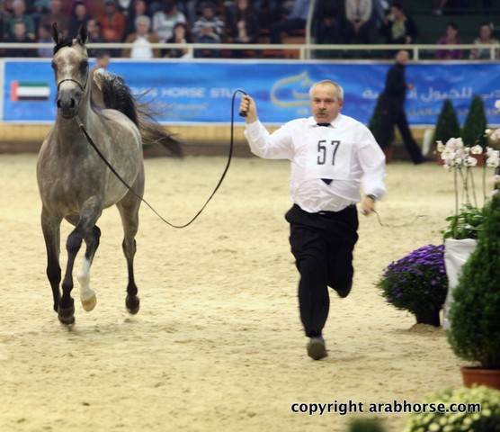 2011 All Nations Cup - Aachen, Germany 