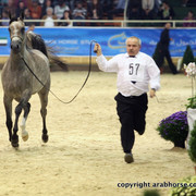 2011 All Nations Cup - Aachen, Germany 