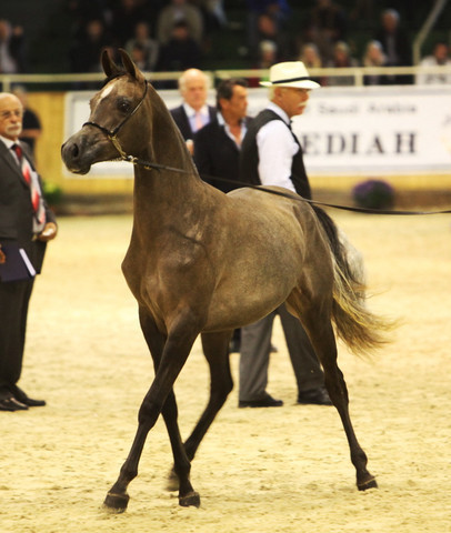 2011 All Nations Cup - Aachen, Germany 