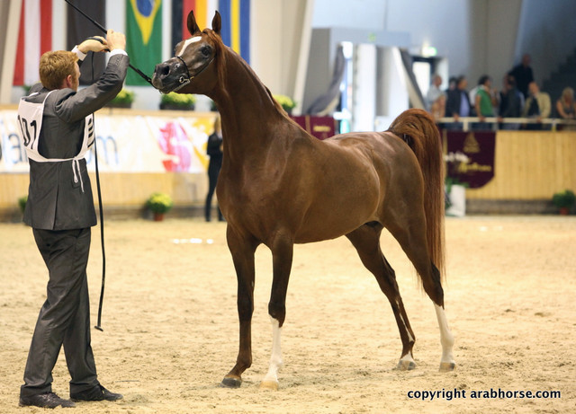 2011 All Nations Cup - Aachen, Germany 