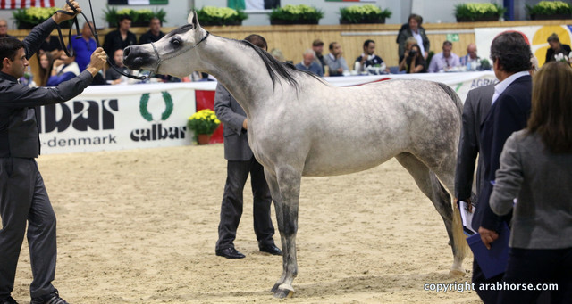 2011 All Nations Cup - Aachen, Germany 