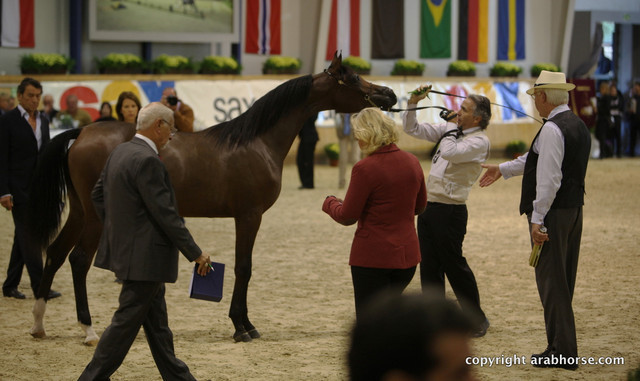 2011 All Nations Cup - Aachen, Germany 
