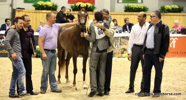 2011 All Nations Cup - Aachen, Germany 