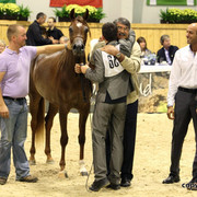 2011 All Nations Cup - Aachen, Germany 