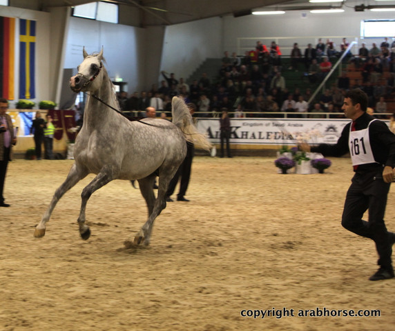 2011 All Nations Cup - Aachen, Germany 