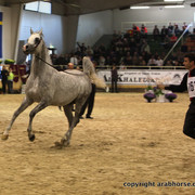 2011 All Nations Cup - Aachen, Germany 
