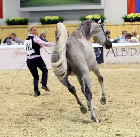 2011 All Nations Cup - Aachen, Germany 