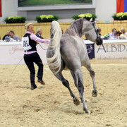 2011 All Nations Cup - Aachen, Germany 