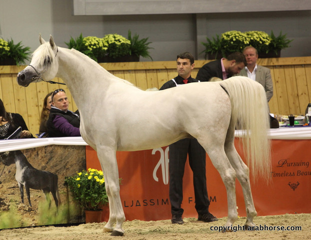 2011 All Nations Cup - Aachen, Germany 