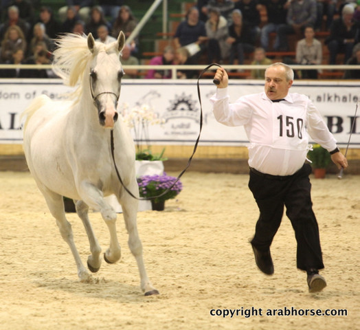 2011 All Nations Cup - Aachen, Germany 