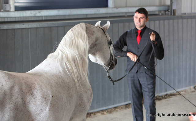 2011 All Nations Cup - Aachen, Germany 