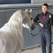2011 All Nations Cup - Aachen, Germany 