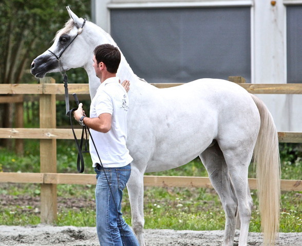 Schoukens Open House