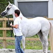 Schoukens Open House