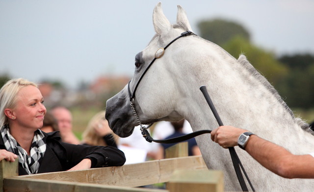 Schoukens Open House