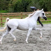 Schoukens Open House